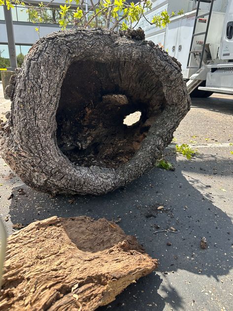 A large piece of wood with a hole in it is sitting on the ground.