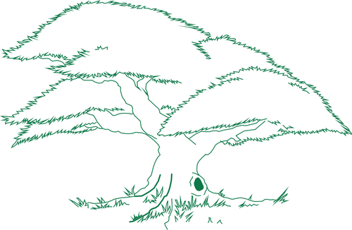 A drawing of a tree with green leaves on a white background