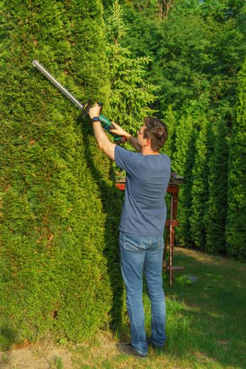 A man is cutting a hedge with a hedge trimmer.