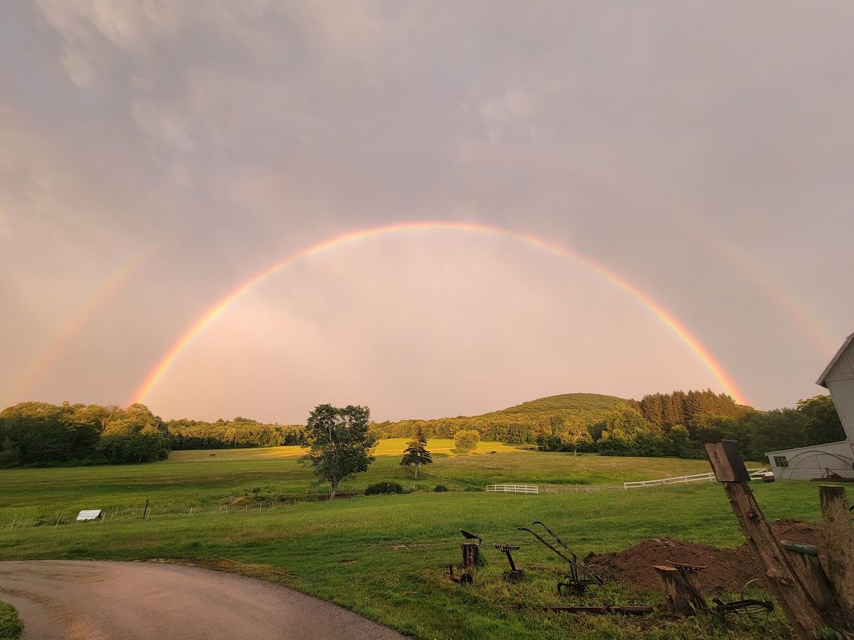 Farmer Clarks in Hampden