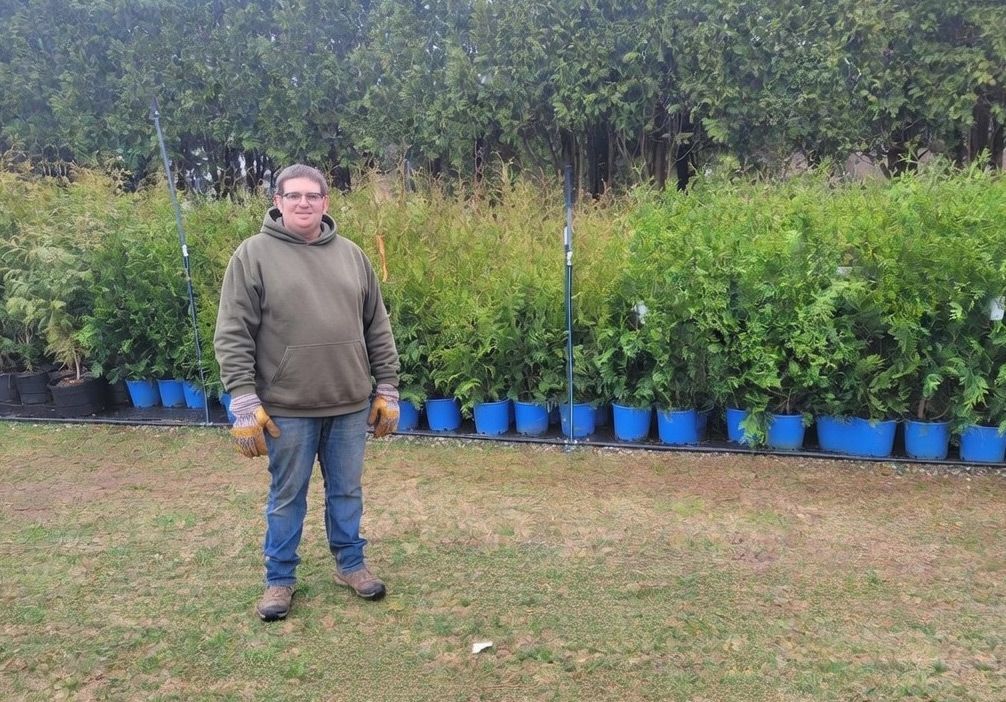 Farmer Clark’s Arborvitaes