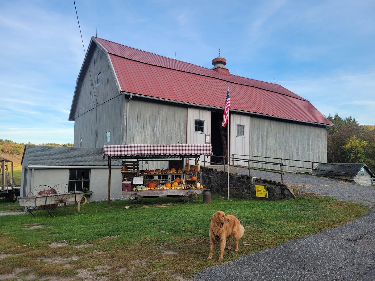 Farmer Clark is proud to offer fresh produce grown right here in Hampden, MA