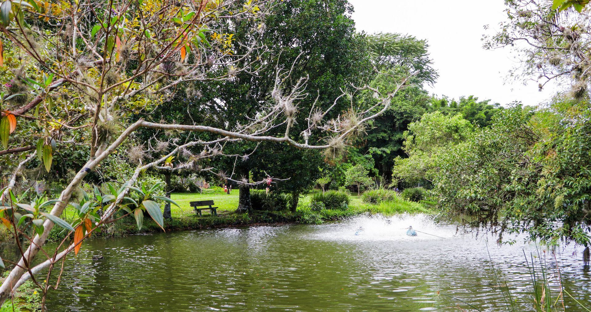 Um lago em um parque, com árvores verdes, um banco e uma fonte.