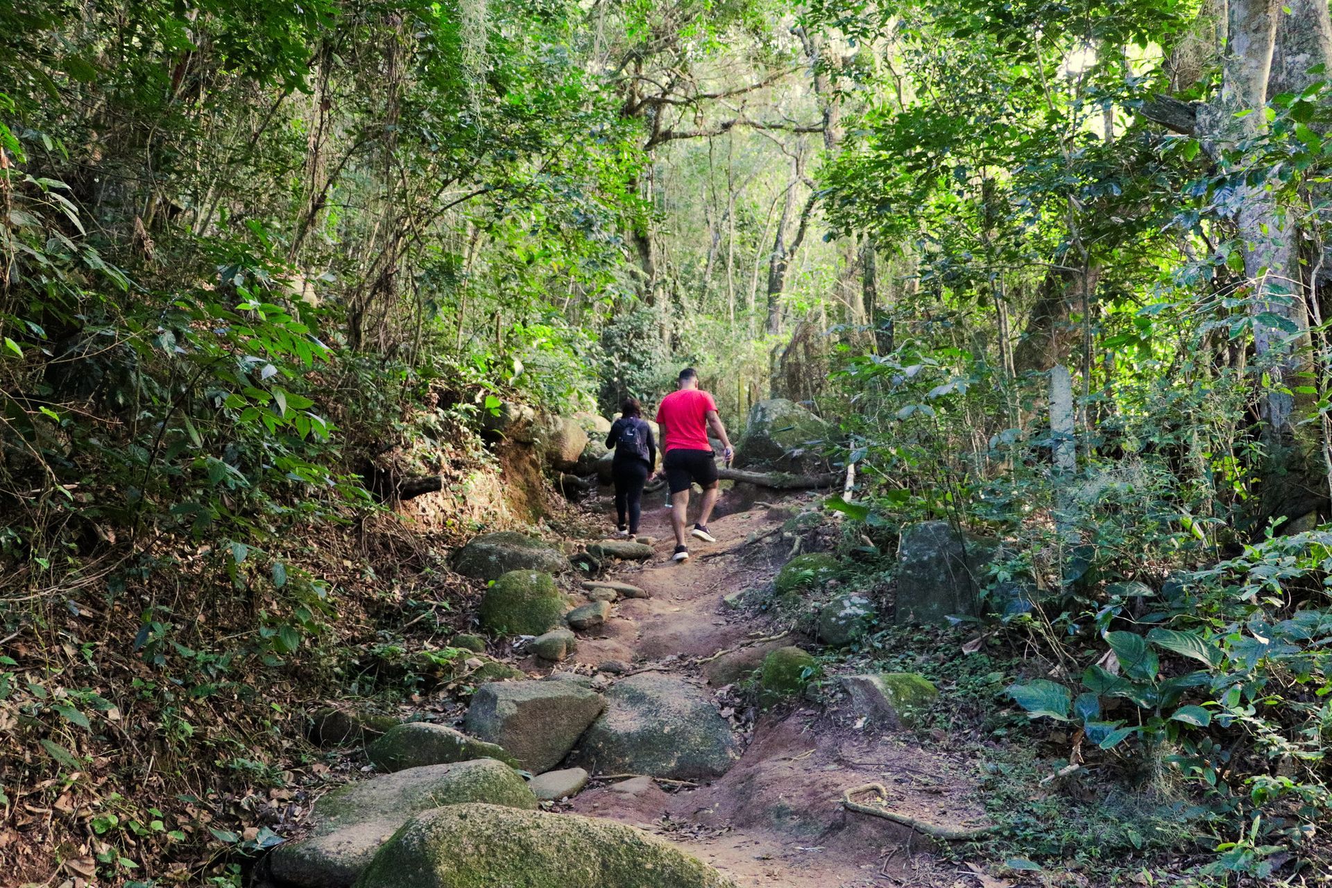 Duas pessoas caminhando por uma trilha rochosa em meio a uma floresta verde.