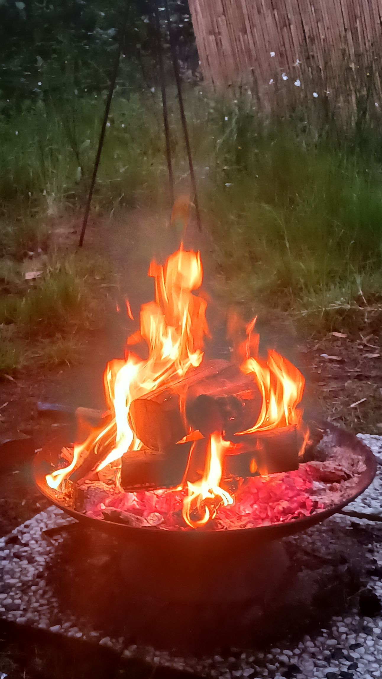 Lekker warm vuurtje in de natuur. Het echte buiten leven.