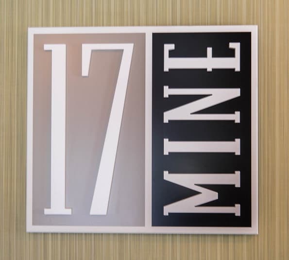 17 Mine logo