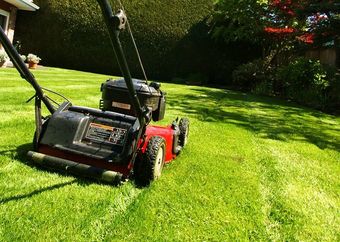 Lawnmower cutting the grass on a summer day