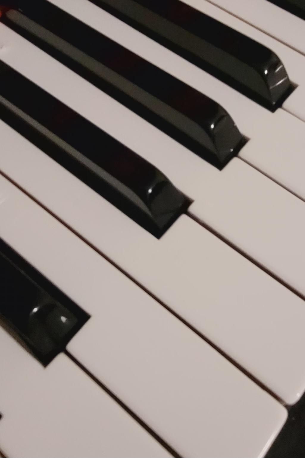 Close-up of black and white piano keys with a glossy finish