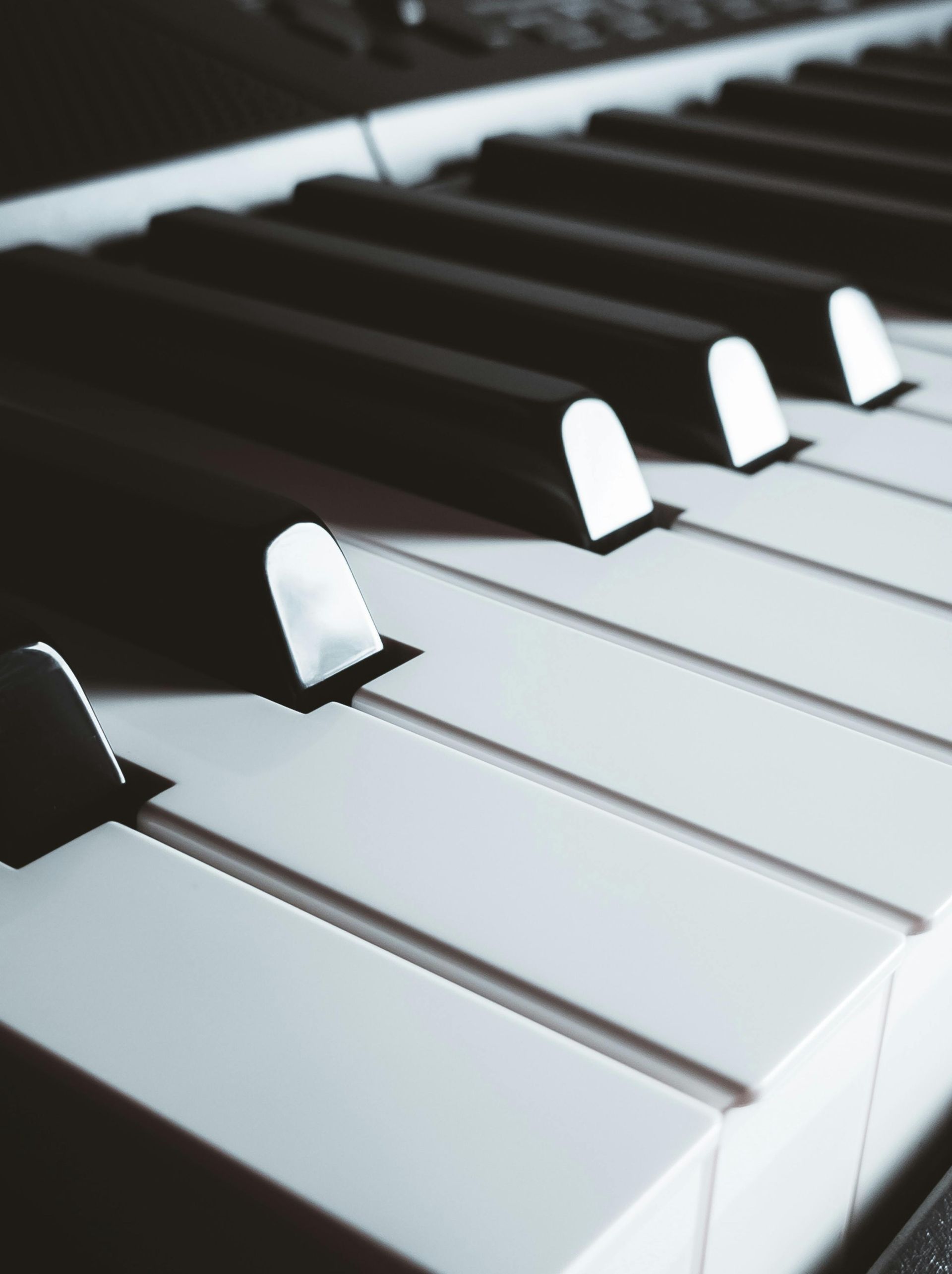 Close-up of black and white piano keys with raised white key tabs