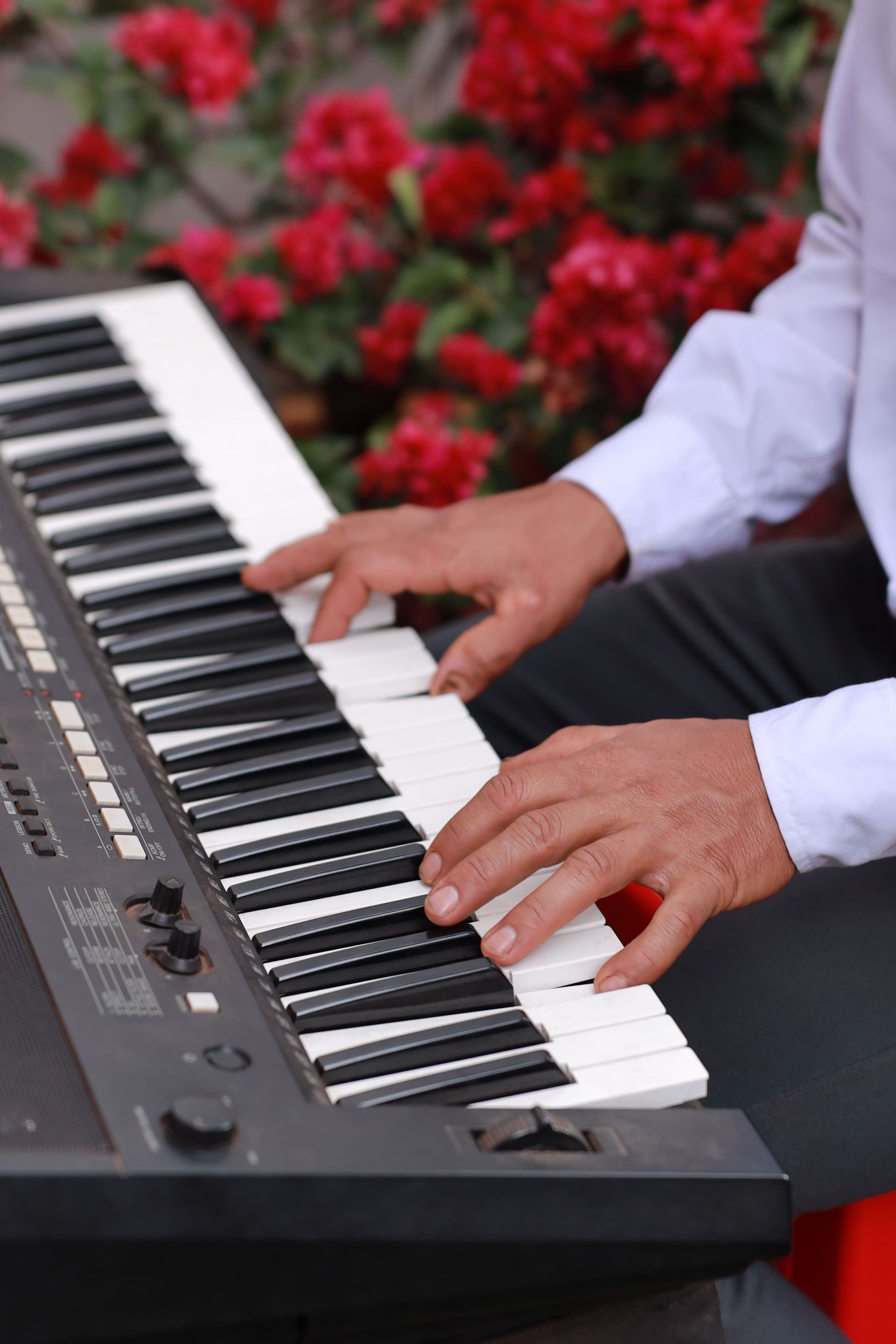 Hands playing a black keyboard outdoors with red flowers in the background