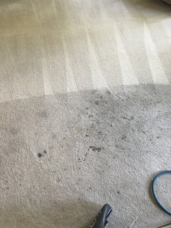 Dirty Carpet — Cedar Rapids, IA — Eastern Iowa Carpet Care Inc