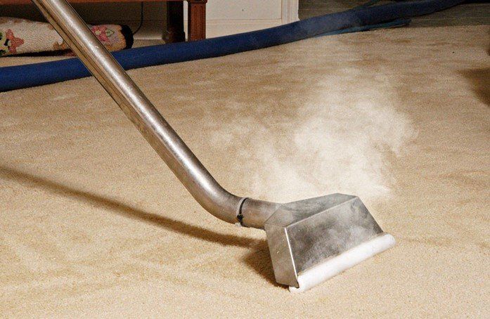 Cleaning Carpet With Vacuum — Cedar Rapids, IA — Eastern Iowa Carpet Care Inc