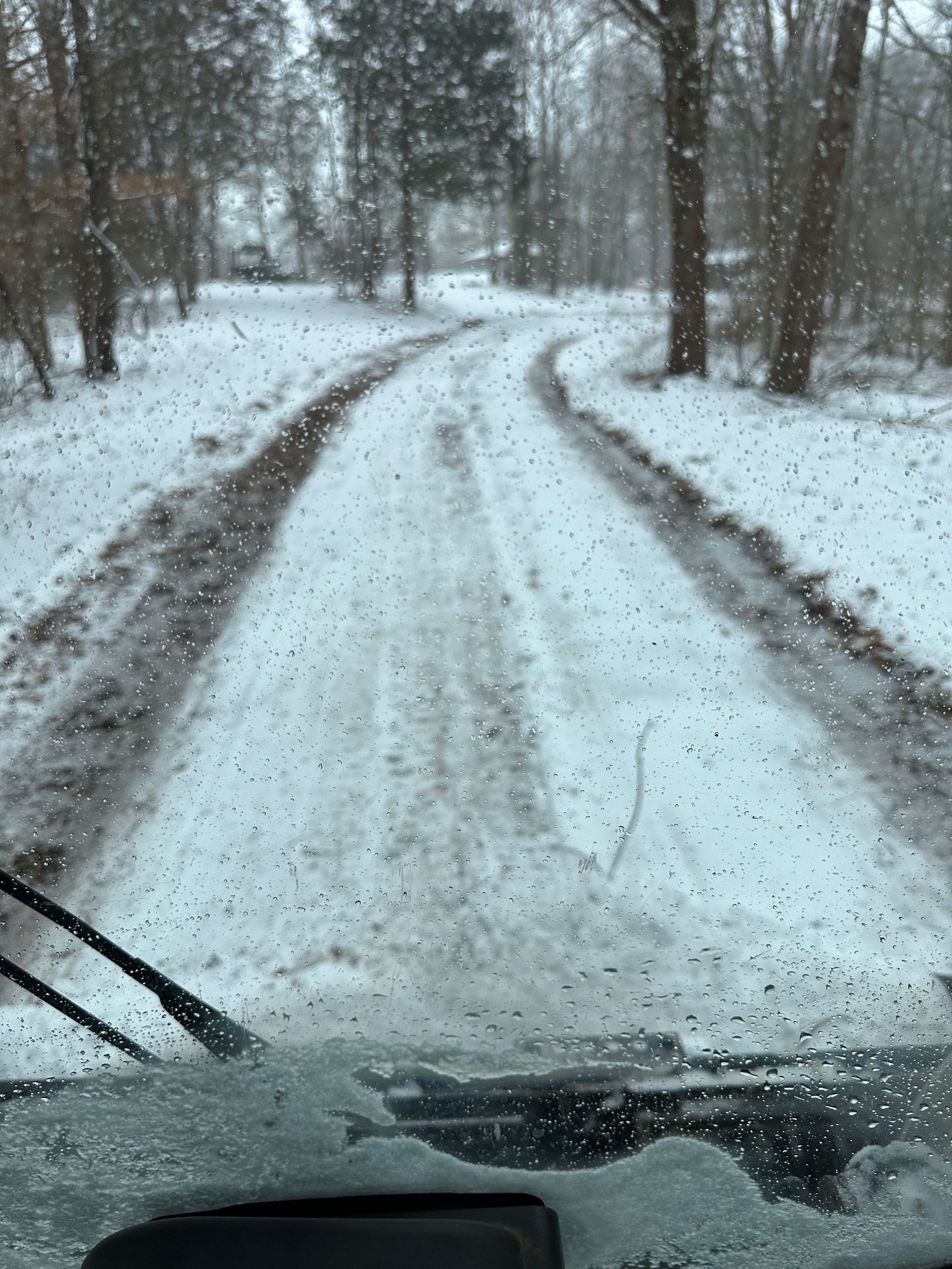 Snowy road viewed from inside a vehicle. Trees line the sides.