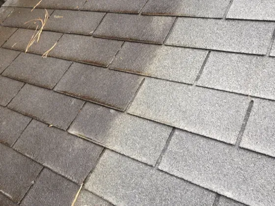 Close-up of gray roof shingles with a weathered patch and a few yellow leaves
