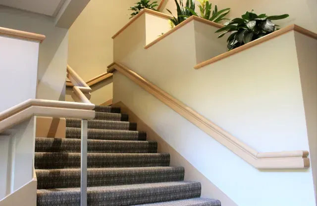 Staircase with carpeted steps, beige walls, white railing, and potted plants on the landing and upper ledge