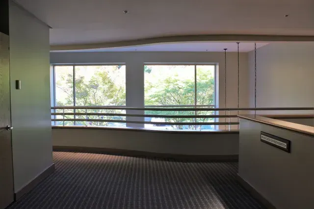 Empty office hallway with carpet, railing, and large windows overlooking trees