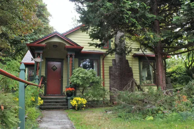 Small green house with a red door and front steps, surrounded by lush trees and garden flowers.