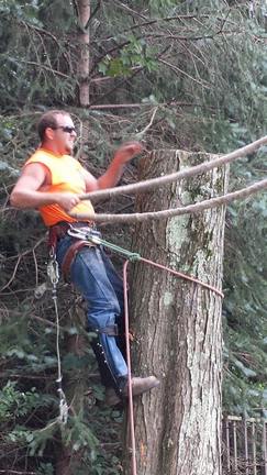 Man on A Tree — Canton, OH — Bowman's Tree Service