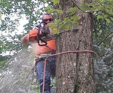 Man Cutting Tree — Canton, OH — Bowman's Tree Service