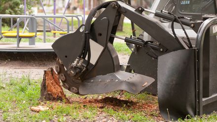 Removing Tree Stump — Canton, OH — Bowman's Tree Service
