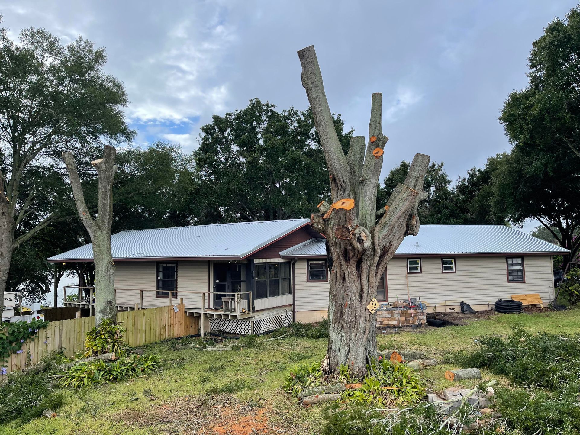 A one-story house with a metal roof stands behind a lawn featuring two large trees recently pruned into bare trunks.