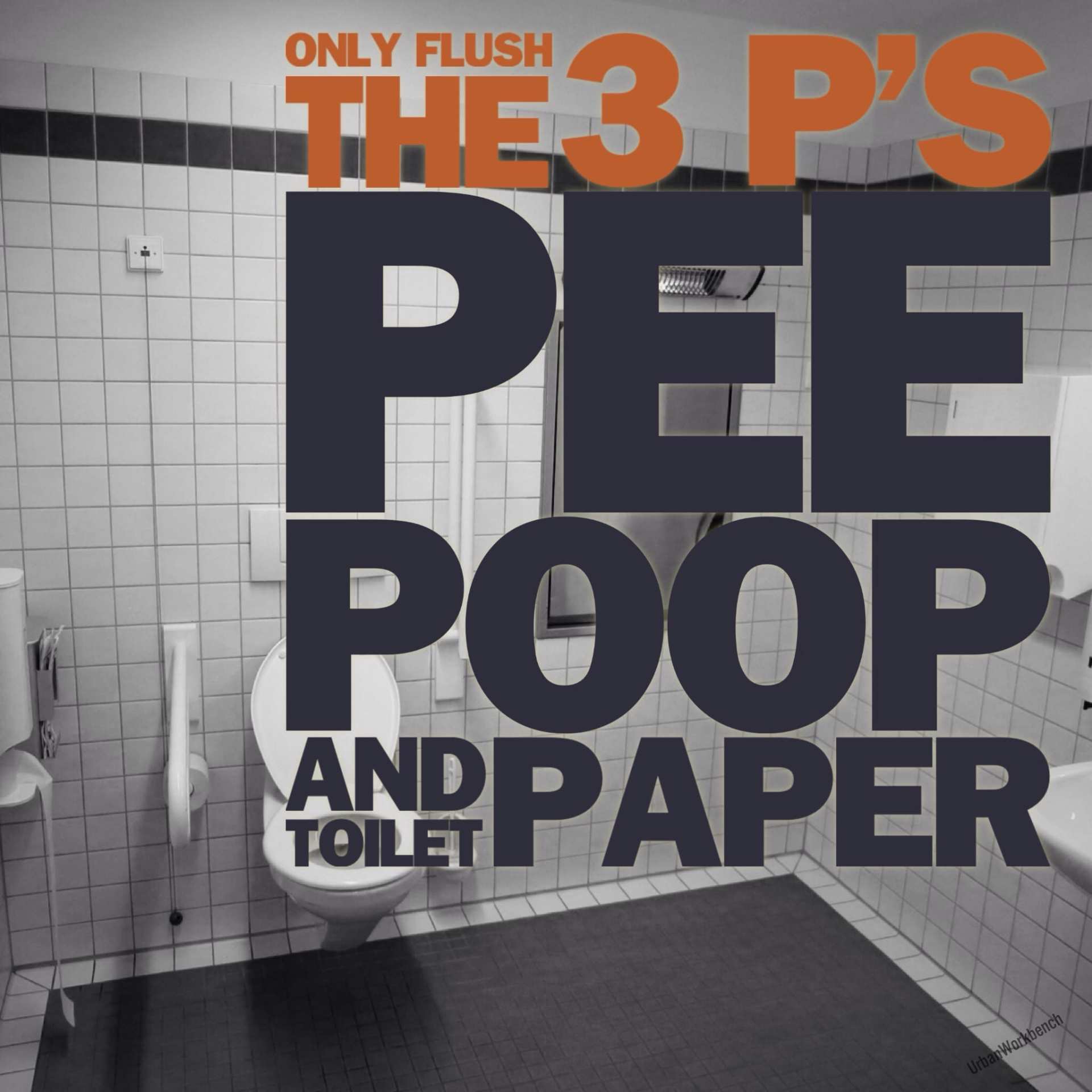 3 P's: Pee Poop and Toilet Paper