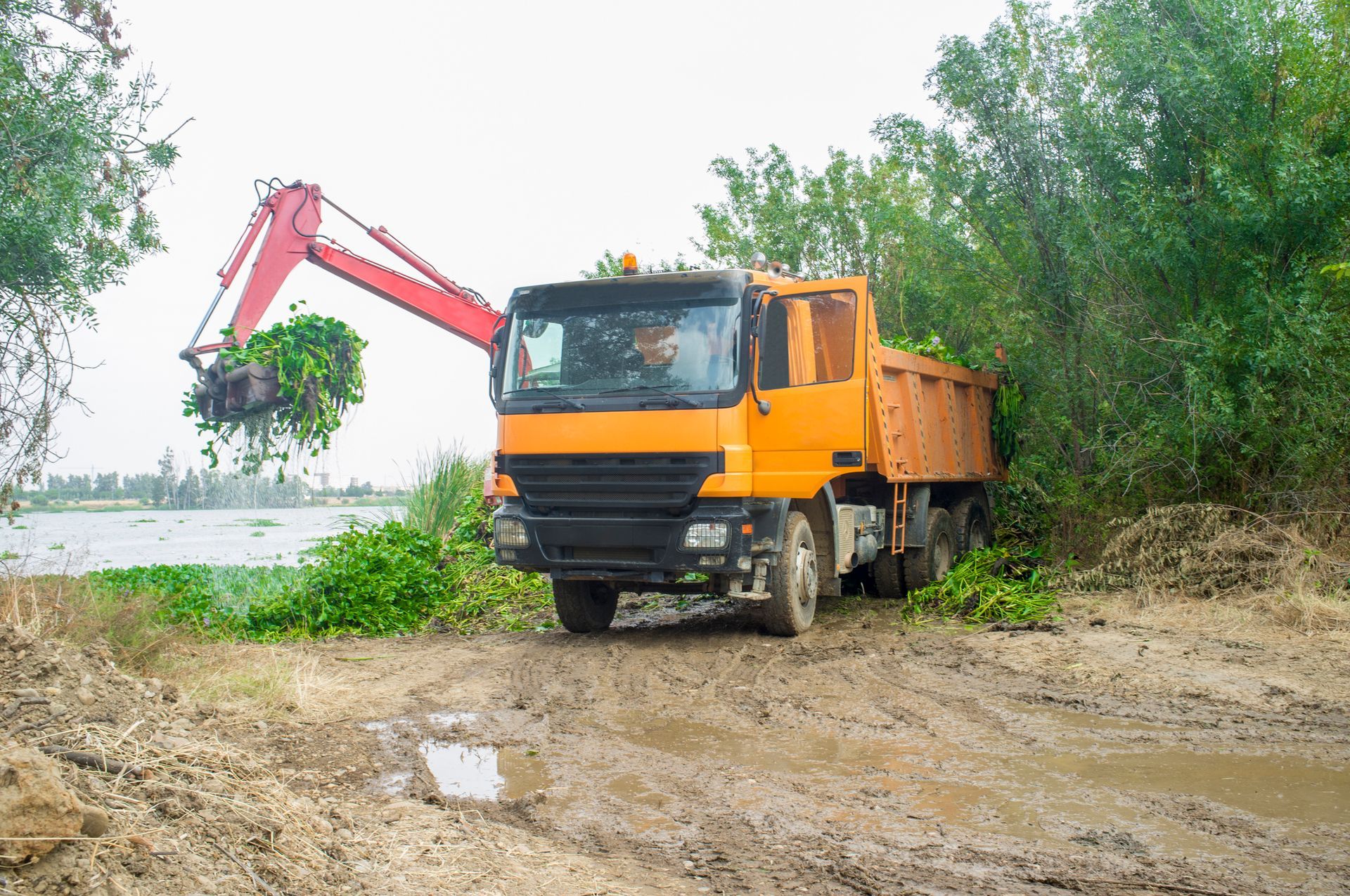 Orange dump truck being loaded with vegetation by an excavator on a muddy bank near water.