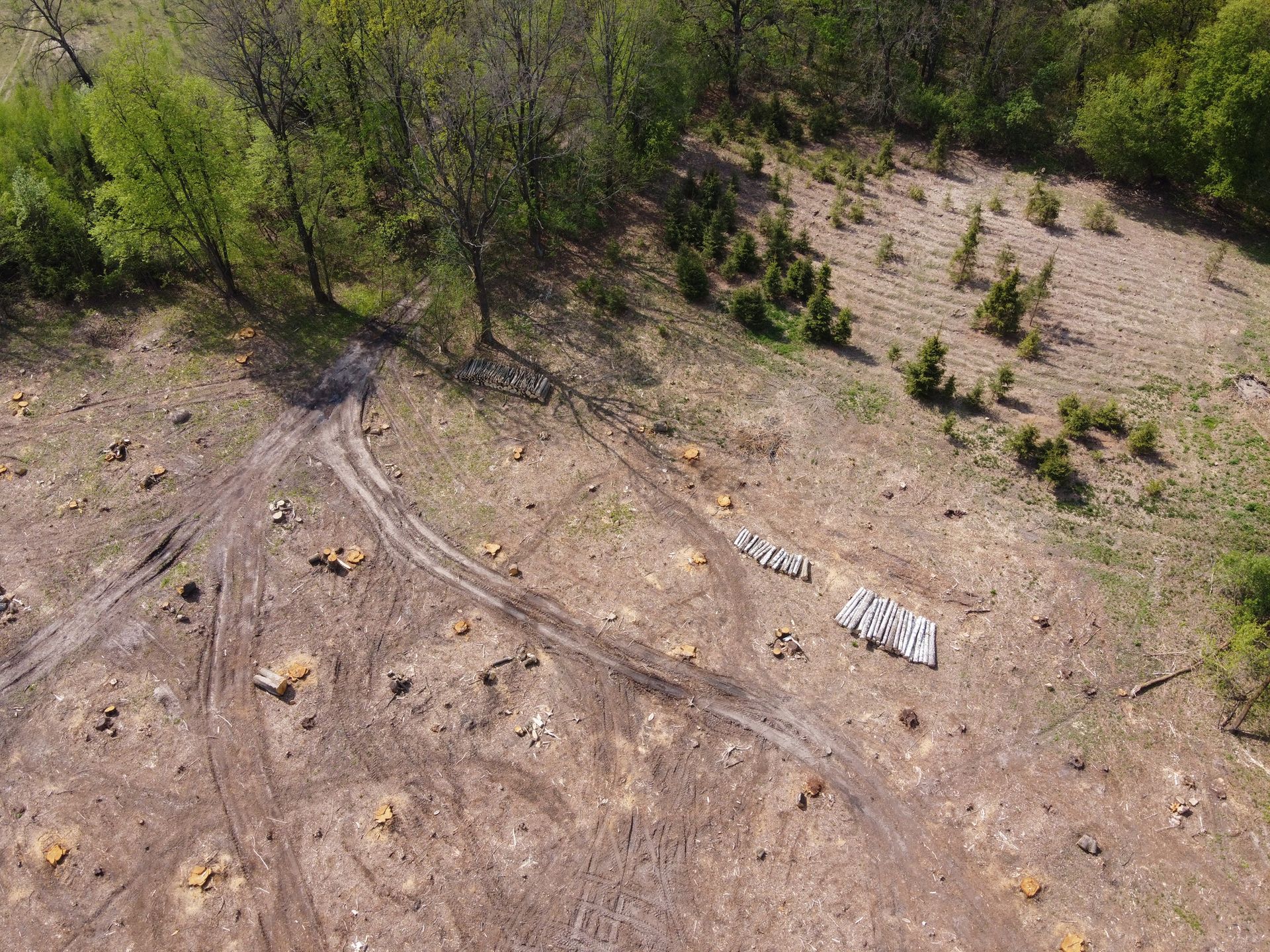 Aerial view of a clearing next to a forest. Tire tracks, logs, and small evergreens are scattered across the dirt.