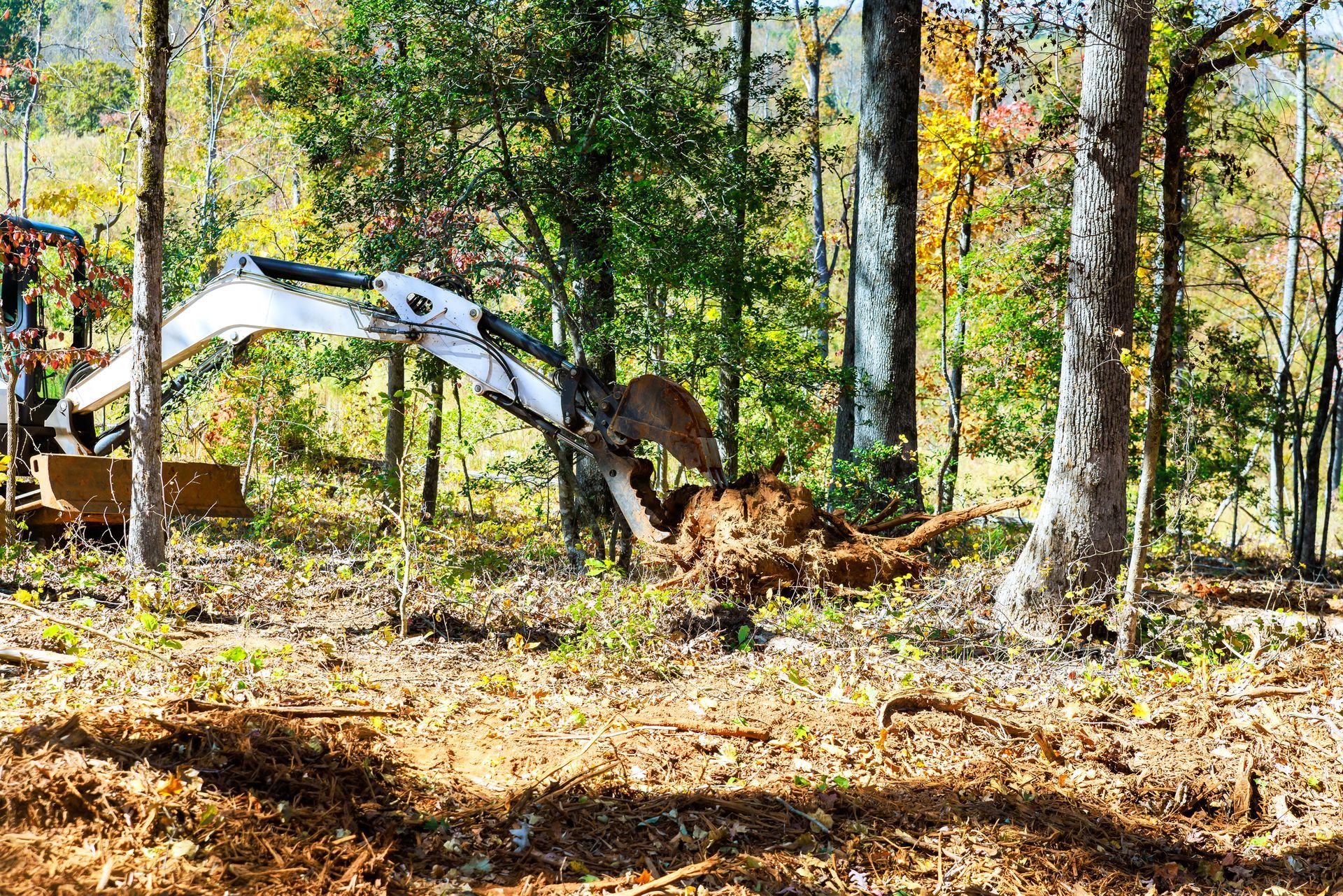 Excavator clearing land in a wooded area, brown dirt, trees, sunlight.