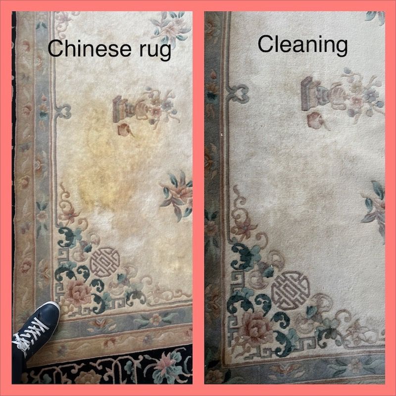 dog and cat pee remove from oriental rugs at rug master, pet odor removal novato