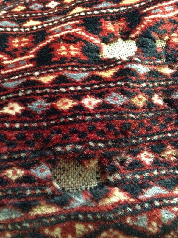 oriental rug damaged by moth need repair near me san francisco