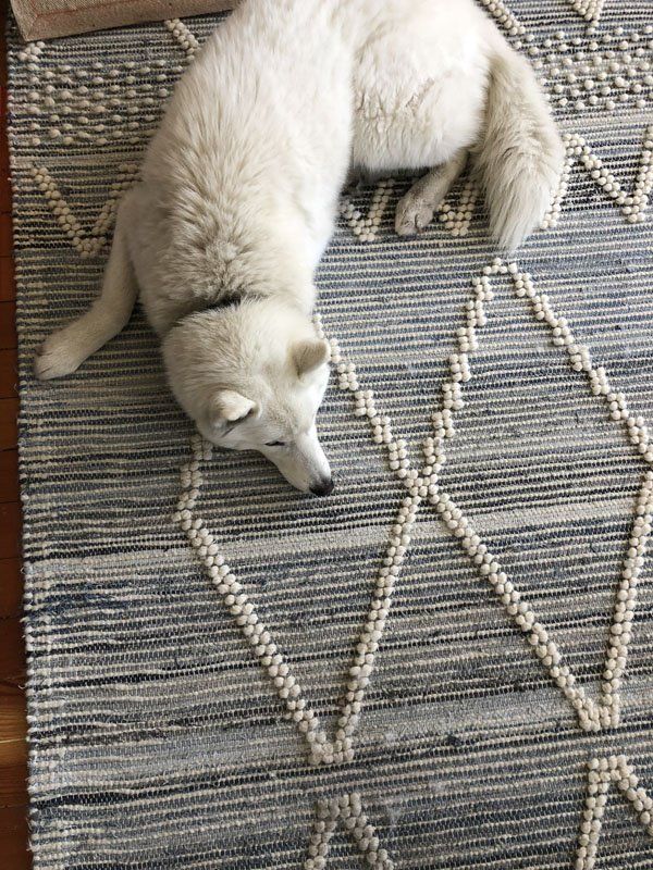 remove pet odor from rugs, rugs odor removal