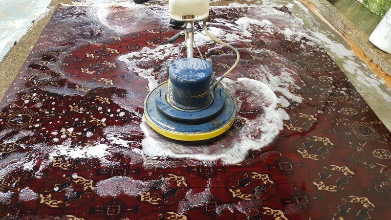 persian rug cleaning in Berkeley, rug washing in Berkeley