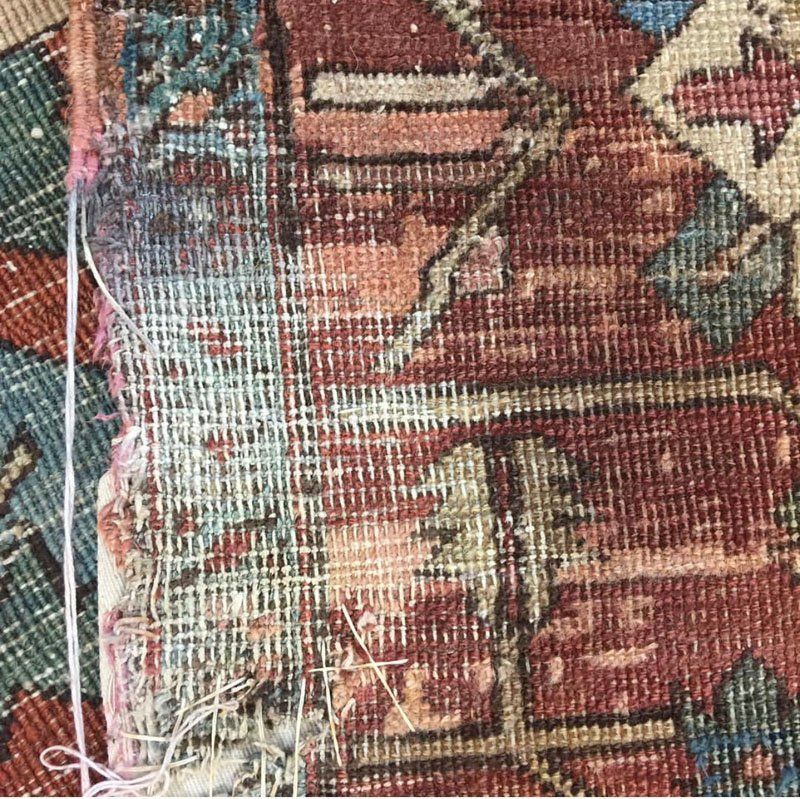 moth treatment from rug , oriental rug moth treatment