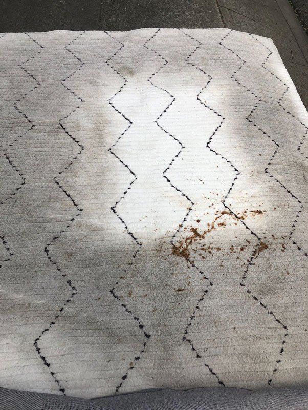 moroccan rug cleaning with pet odor mill valley, moroccan rug cleaning with smell