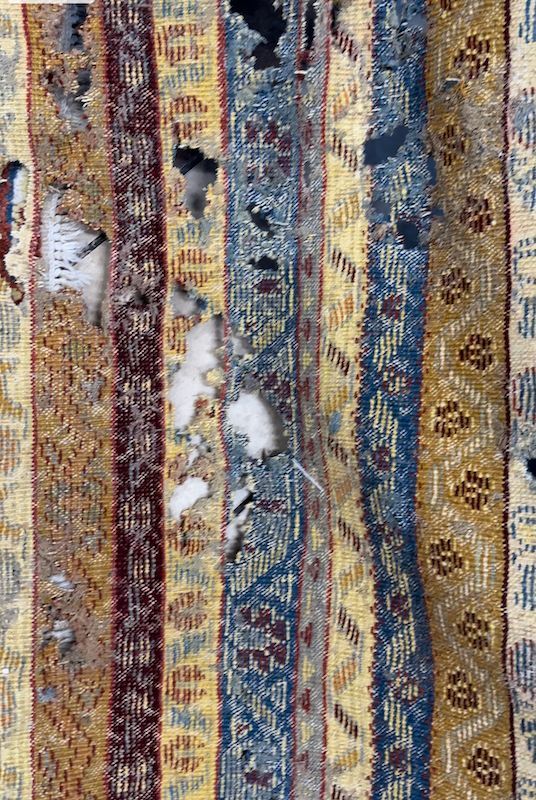 moth treatment rug novato, rug cleaning from moth novato,