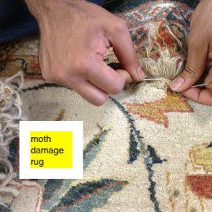 moth damage rug cleaning and repair oakland ca