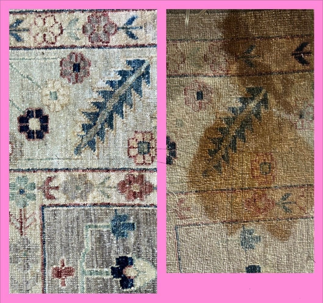 pet odor removal from rug in oakland ca