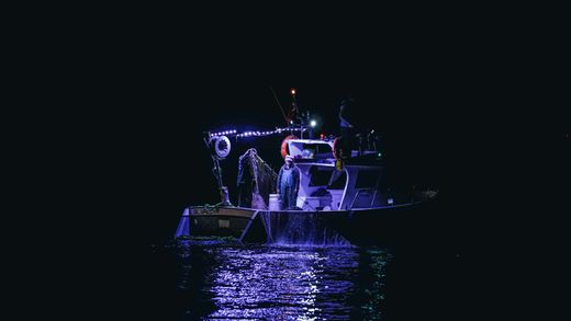 Person on a lit boat at night, reflected in dark water with blue-purple lights.