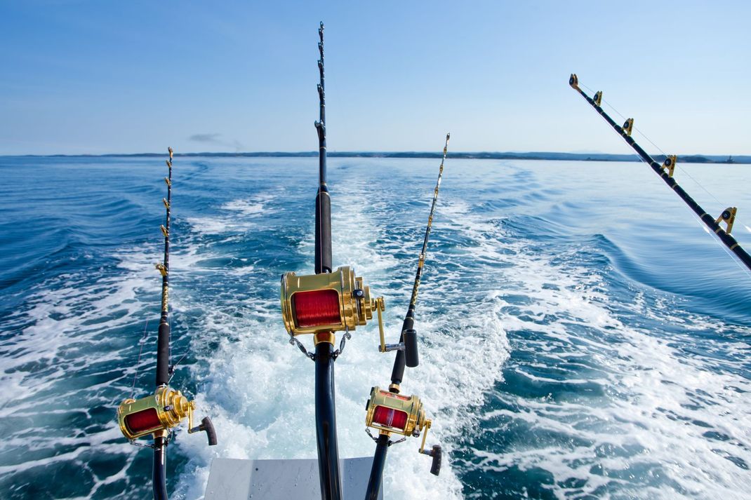 Fishing rods on a boat trailing in open ocean, with foamy wake behind.