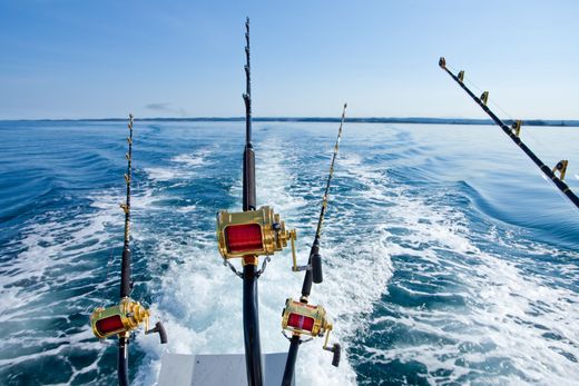 Fishing rods on a boat trailing in open ocean, with foamy wake behind.
