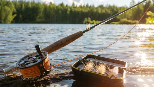 Fishing rod, reel, and tackle box by a sunlit lake with forested shoreline.