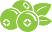 grüne Beeren icon