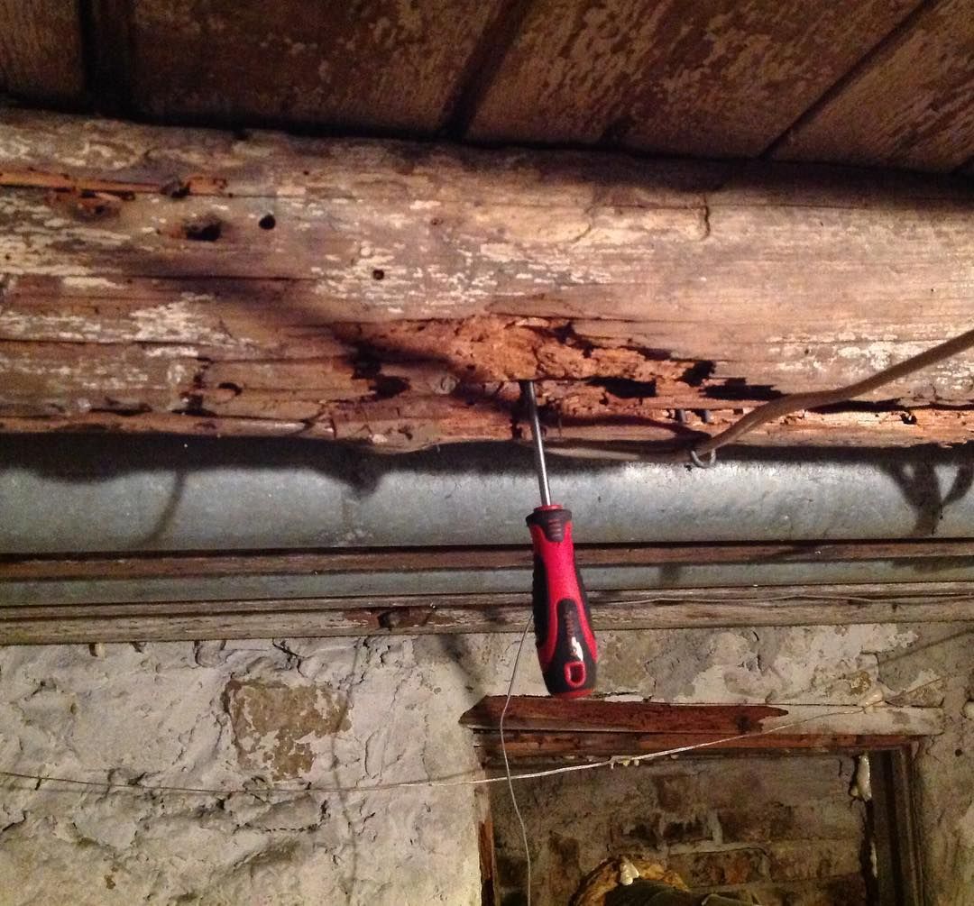 Severely damaged wooden beam in a basement, screwdriver inserted, showing rot and deterioration.