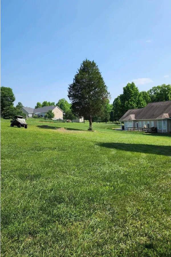 tree services provider blountville tn tree services provider blountville tn