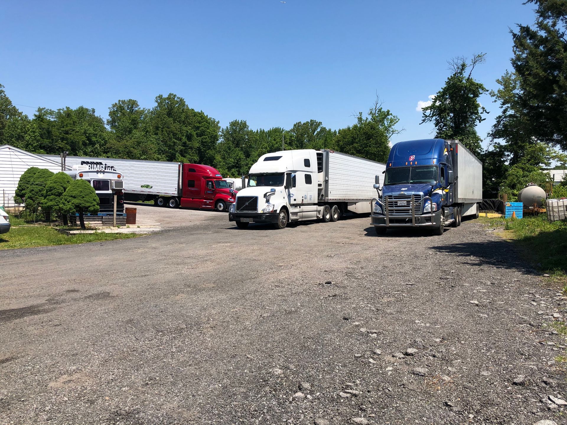 Several semi-trucks parked on gravel under a blue sky, some with white trailers.