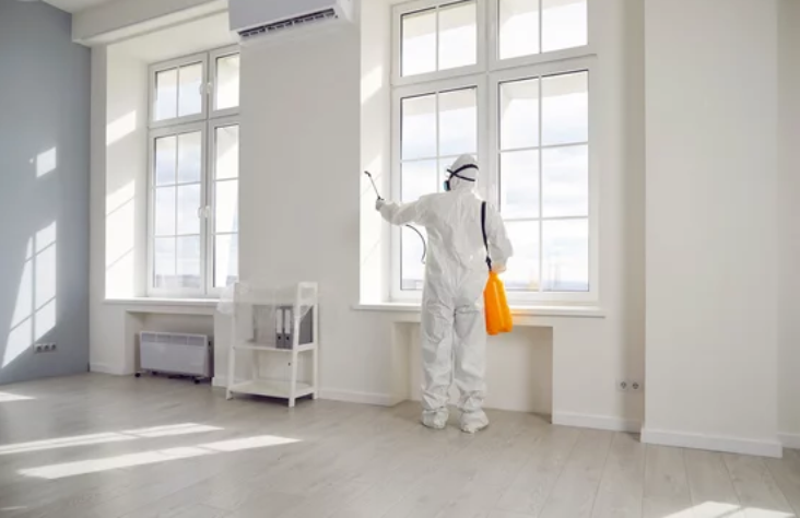 Experienced pest control technician inspecting and treating interior of a home for pests.