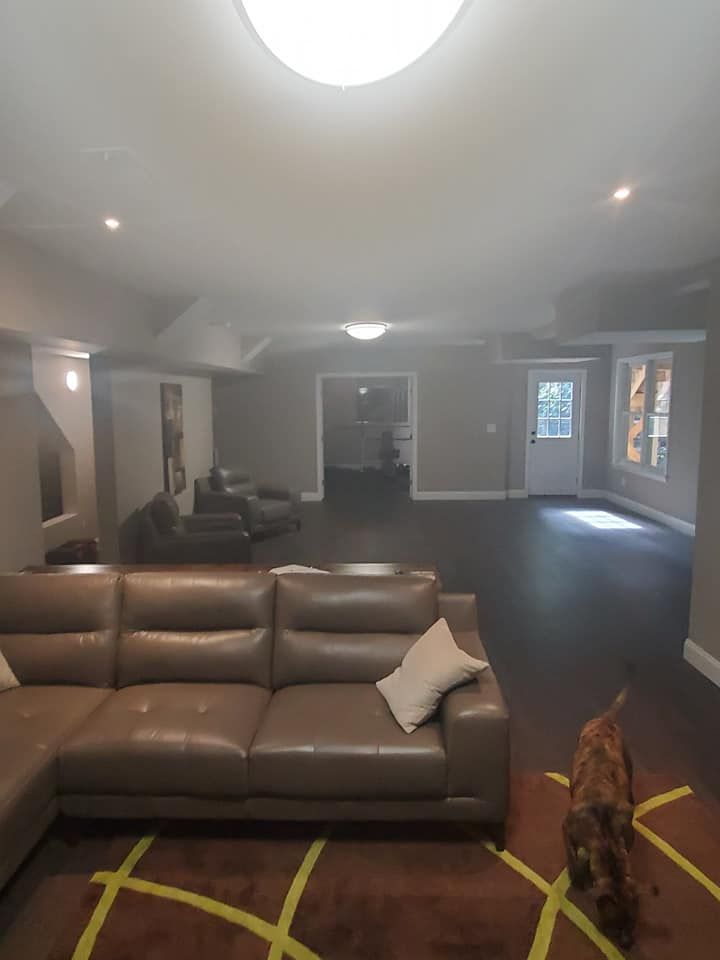 A living room with a couch , chairs , and a dog.