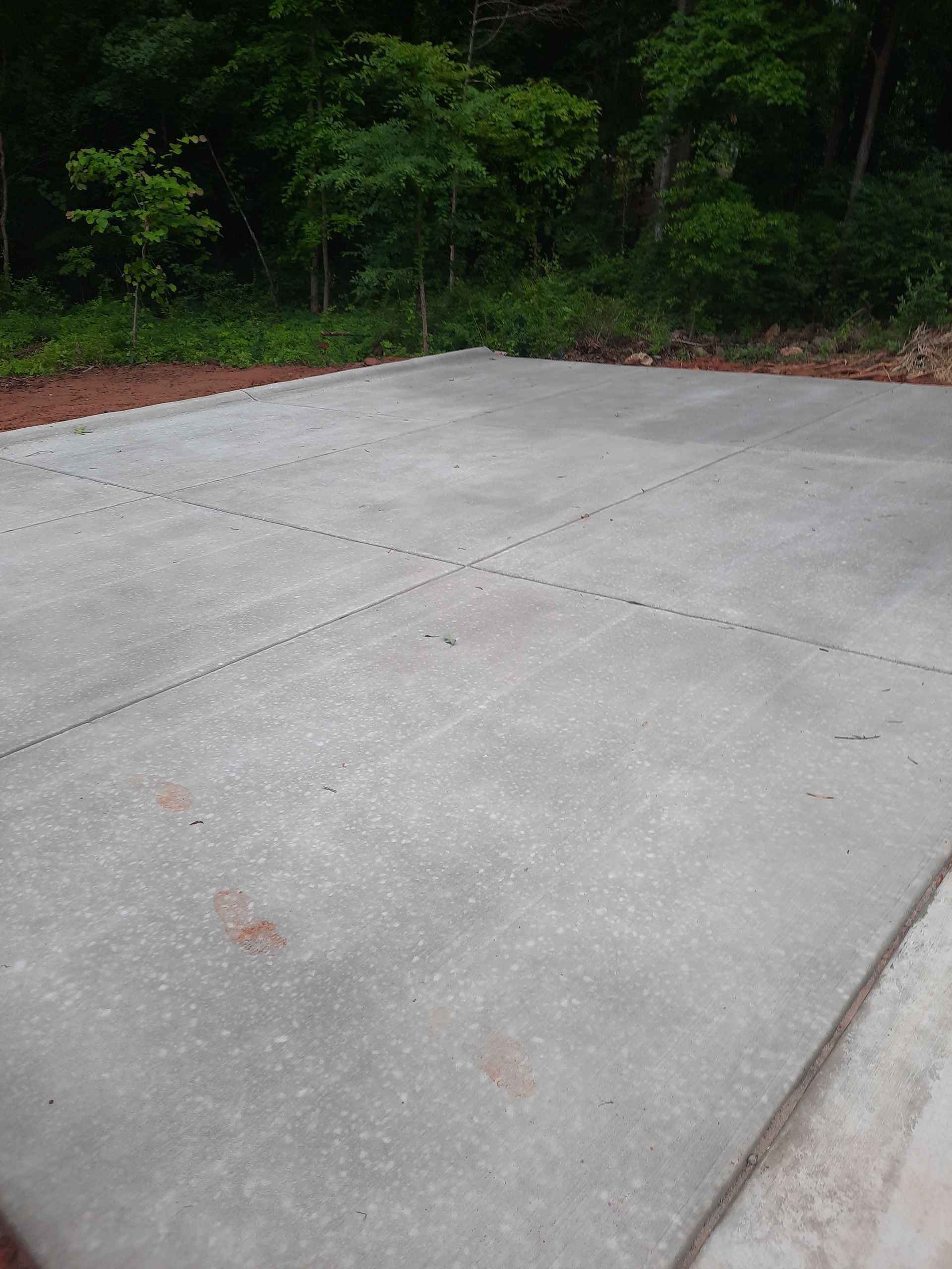 A concrete driveway with trees in the background is being built.