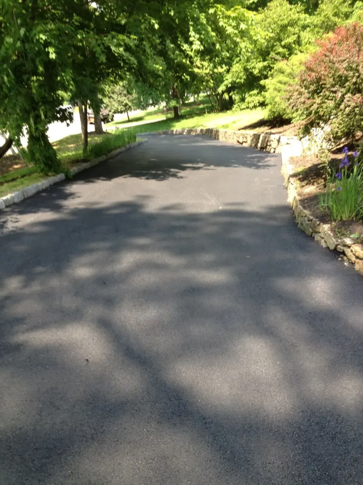 Asphalt driveway winding uphill, flanked by trees and a stone-edged flower bed on a sunny day.